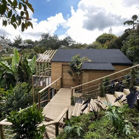 Hotel Teva Glamping & Retreat à Rionegro Chambre photo